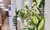 زیبا سازی محیط کتابخانه با گلدان های گل طبیعی