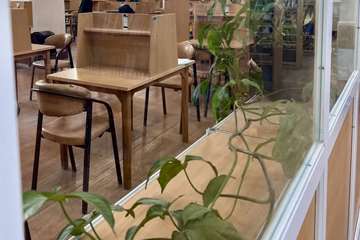 زیبا سازی محیط کتابخانه با گلدان های گل طبیعی