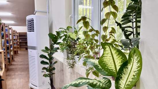 زیبا سازی محیط کتابخانه با گلدان های گل طبیعی 